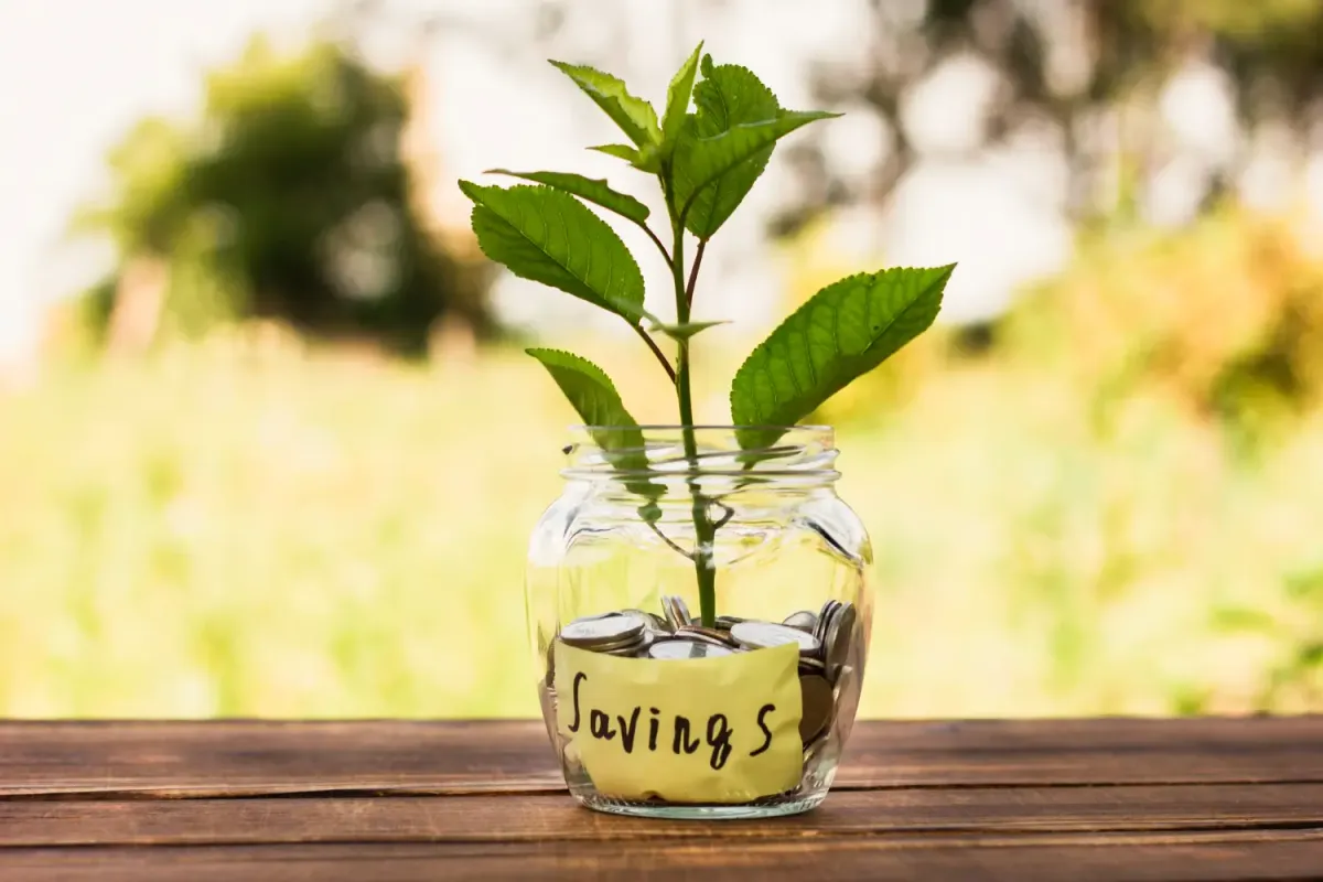 Mutual Funds or Structured Products – Which Will Deliver Better Returns in 2025? Is It Time to Reallocate?